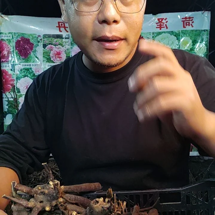 当前无花栽培后可以开花蓝富士.....