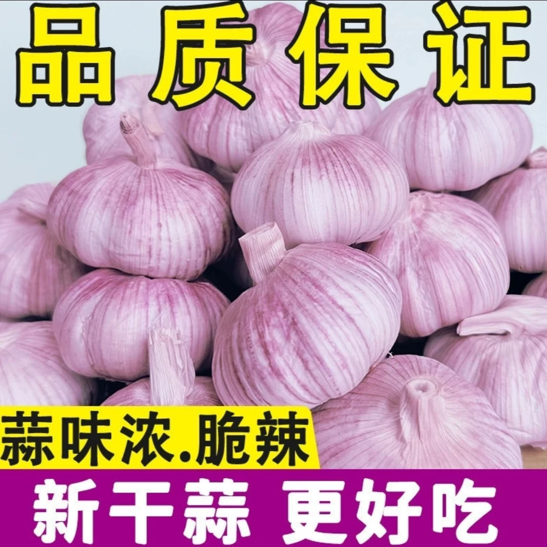 【3斤蒜】山东头茬紫白皮干蒜多瓣大蒜头炒菜炖菜佳品3斤/2斤 100克