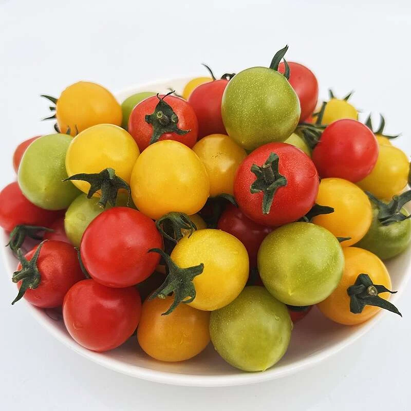 新疆三色爆汁樱桃小番茄