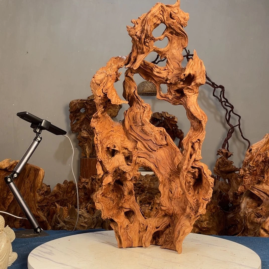 香榧木天*我2344567788