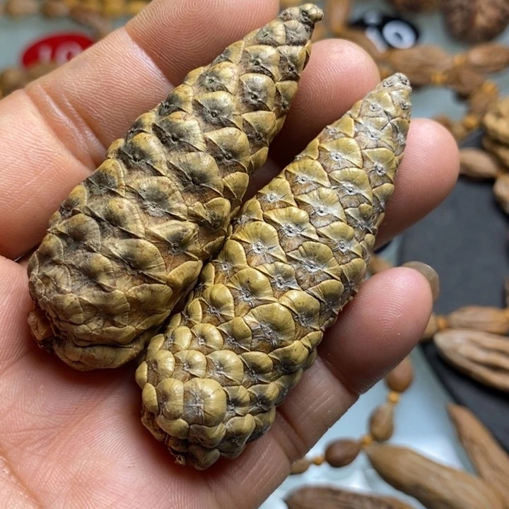 香榧木拿姐好美好245