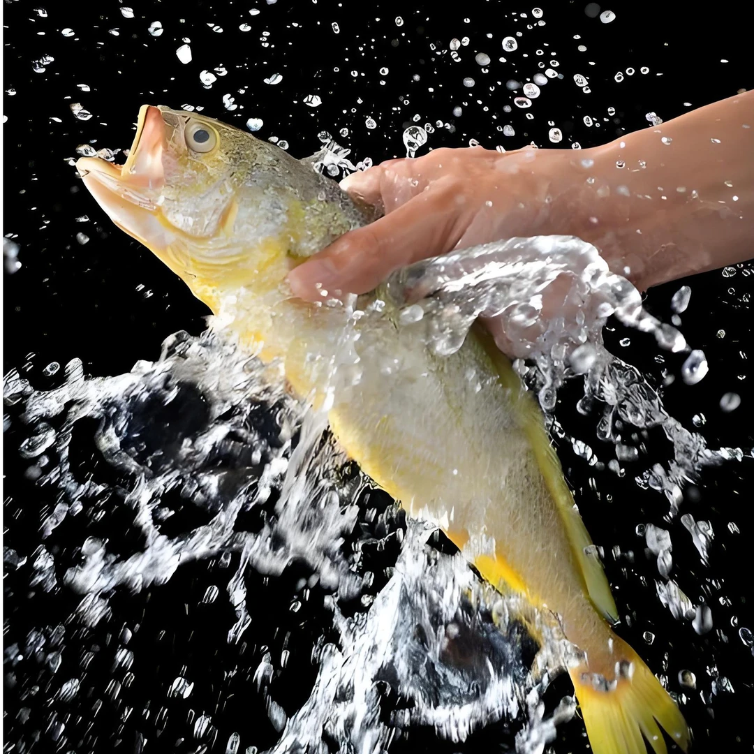 【冷冻】黄鱼约600g/条