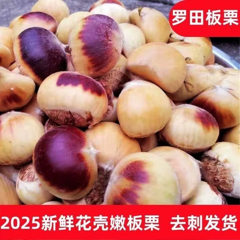 （达人）【顺丰包邮】大别山新鲜花白壳嫩板栗香甜脆口内皮好剥即食