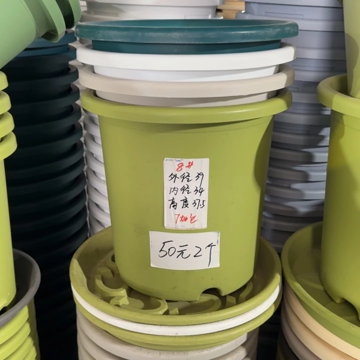 四季8#口径40无托果绿3个