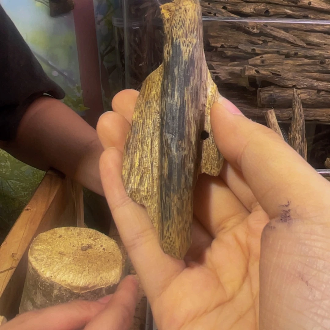 沉香碎屑沉香逍****虫漏福利040