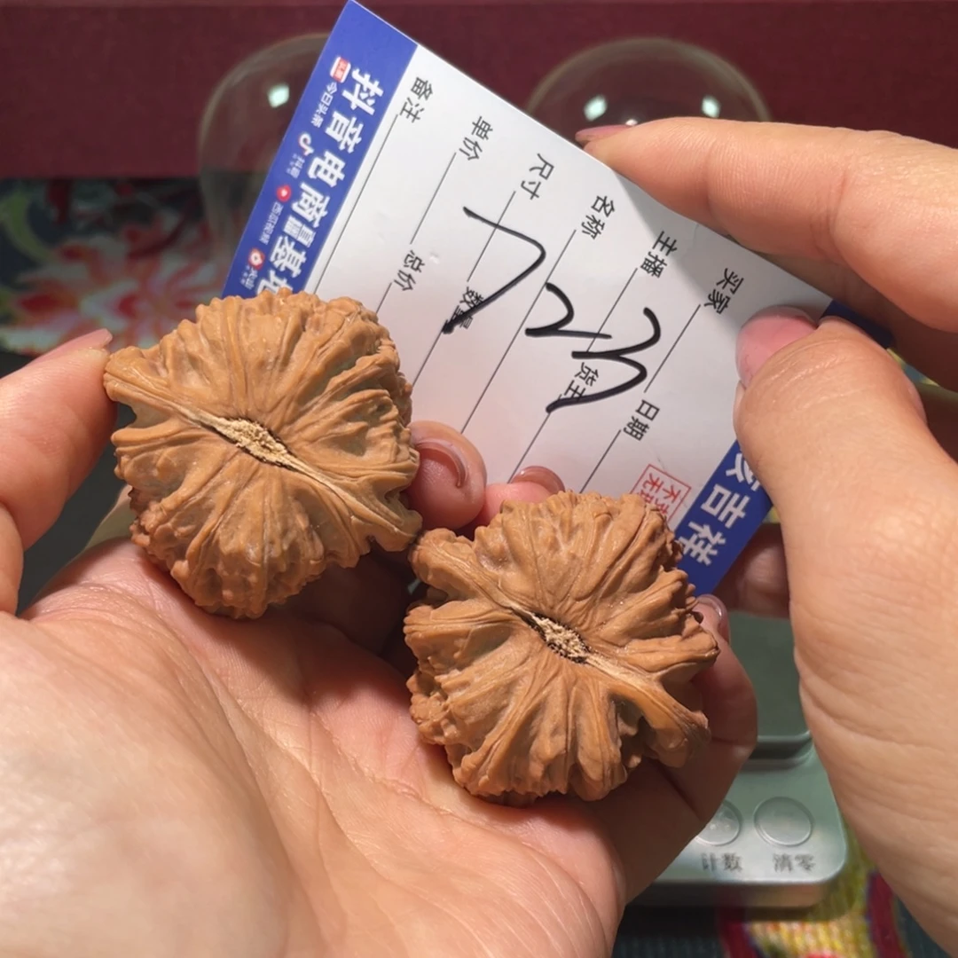 核桃把件44左右将近45闷白白狮子