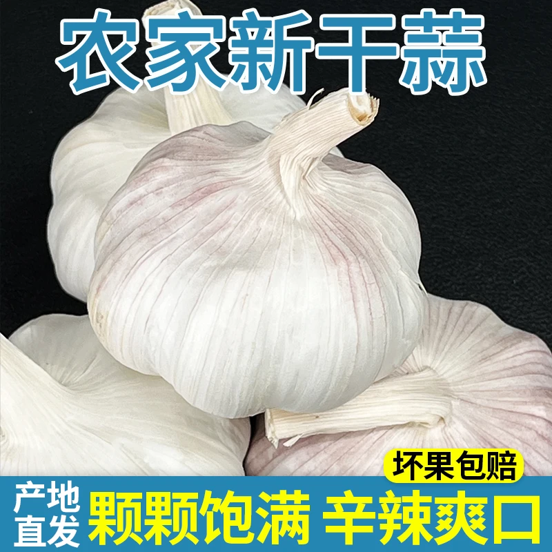 5斤2025农家自种紫白皮大蒜可吃可种产地直发3斤