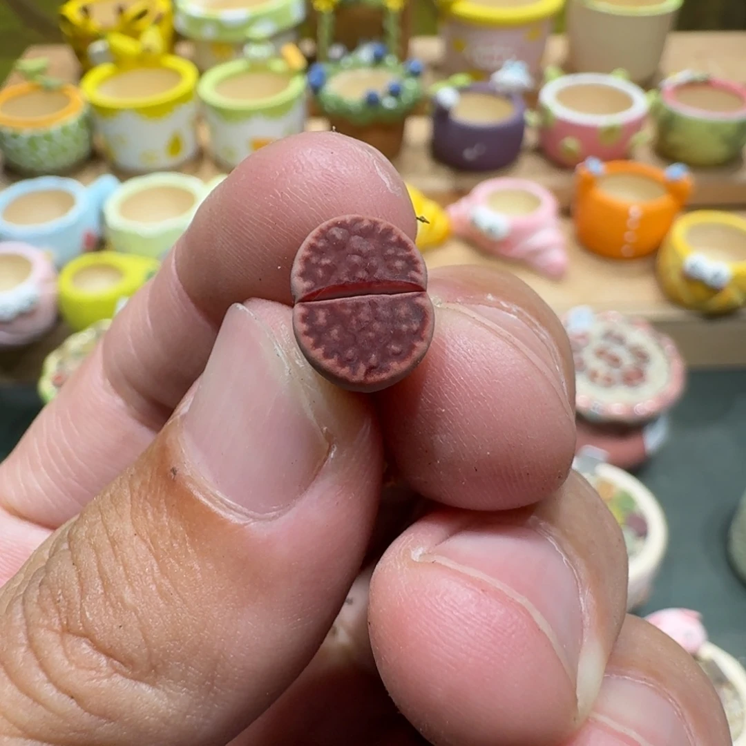 赤***间蘑菇1151阿克塞尔玫瑰