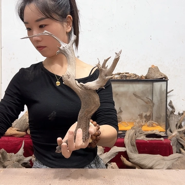 柏木天*我们的生活也