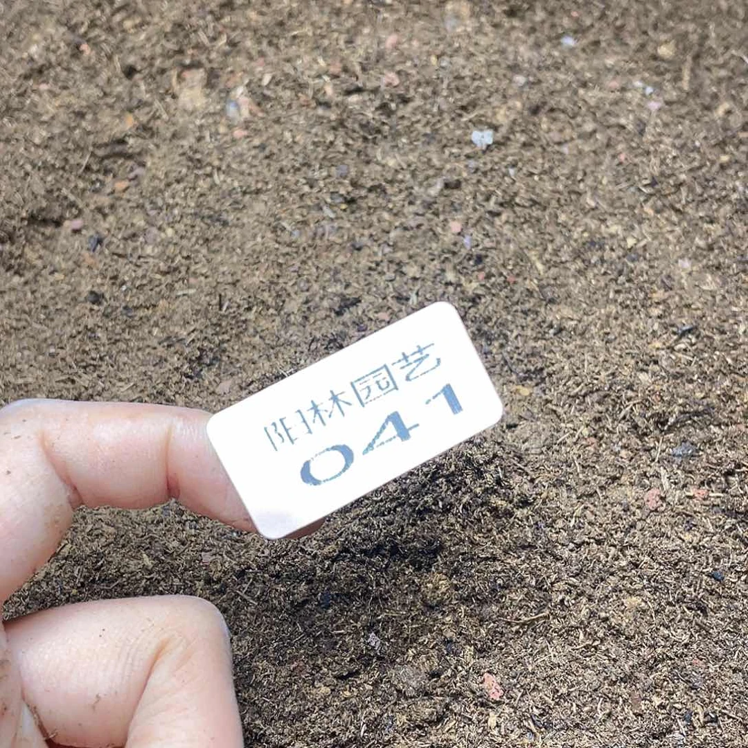 量拍多肉植物土一筐41