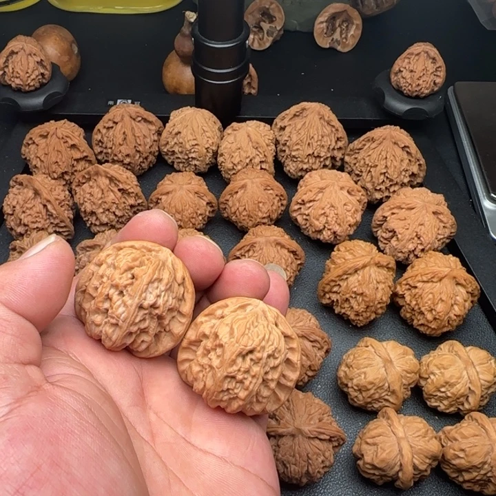 39尺全品无修白狮子