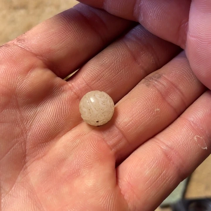 手链未镶嵌透闪石质玉闲*