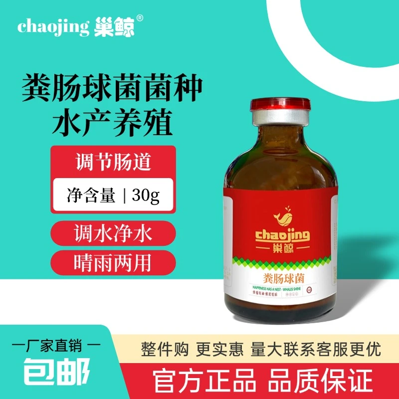 巢鲸粪肠球菌菌种调水净水产乳酸菌善改肠道鱼塘虾蟹塘水产养殖