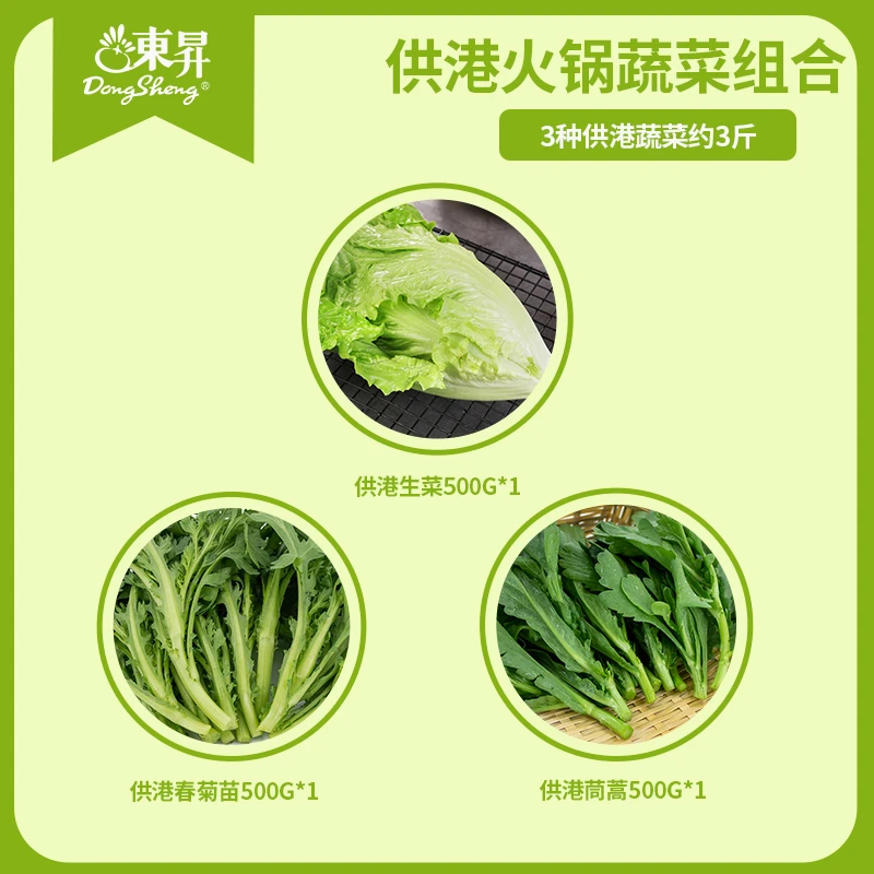 东升东升农场 供港火锅组合1500g 广东蔬菜新鲜配送