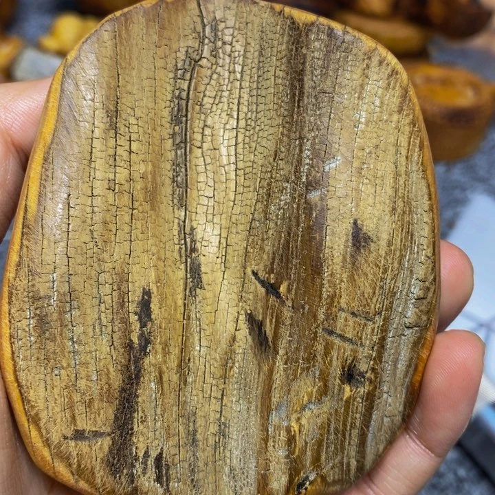 柏木（崖柏）崖柏120