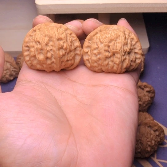 文玩核桃把件白狮子