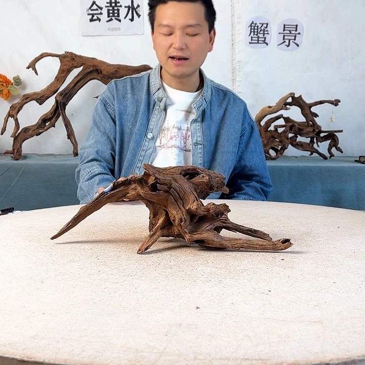 沉木造景爬宠造景