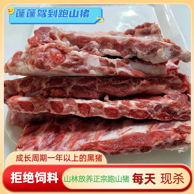 蓬蓬嘉道东北跑山猪猪肉排骨粮食喂养肉质紧实天然营养口感香现称