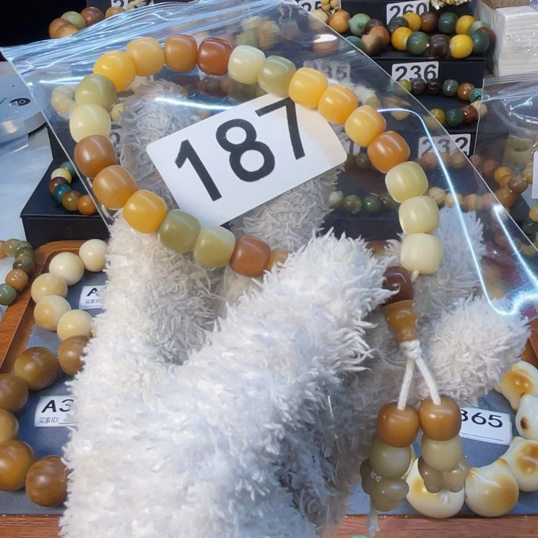 菩提根/象牙果手串