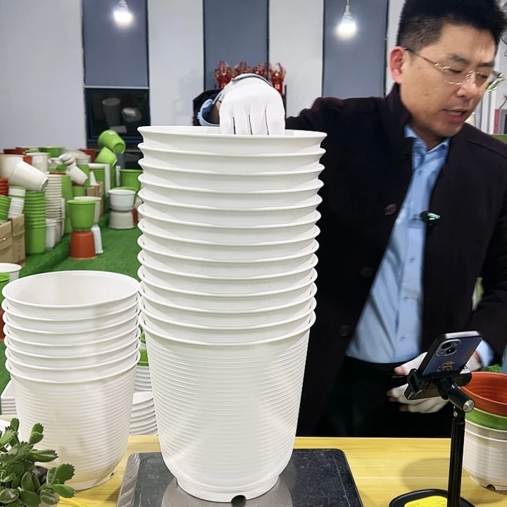 正品高陶口24高24白色白色5只无托