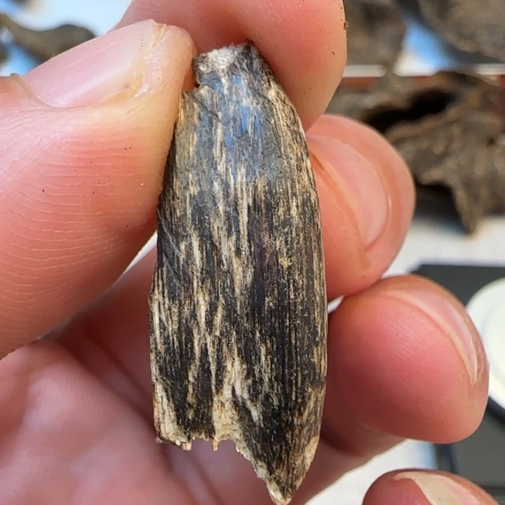 摆件沉香沉水房梁0.7克