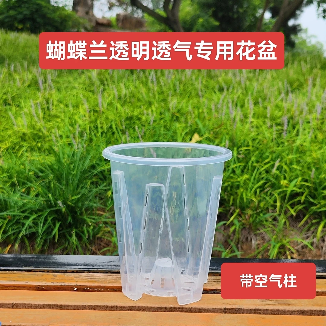 （透明青山花盆）蝴蝶兰石斛兰兰花盆栽透明透气塑料花盆