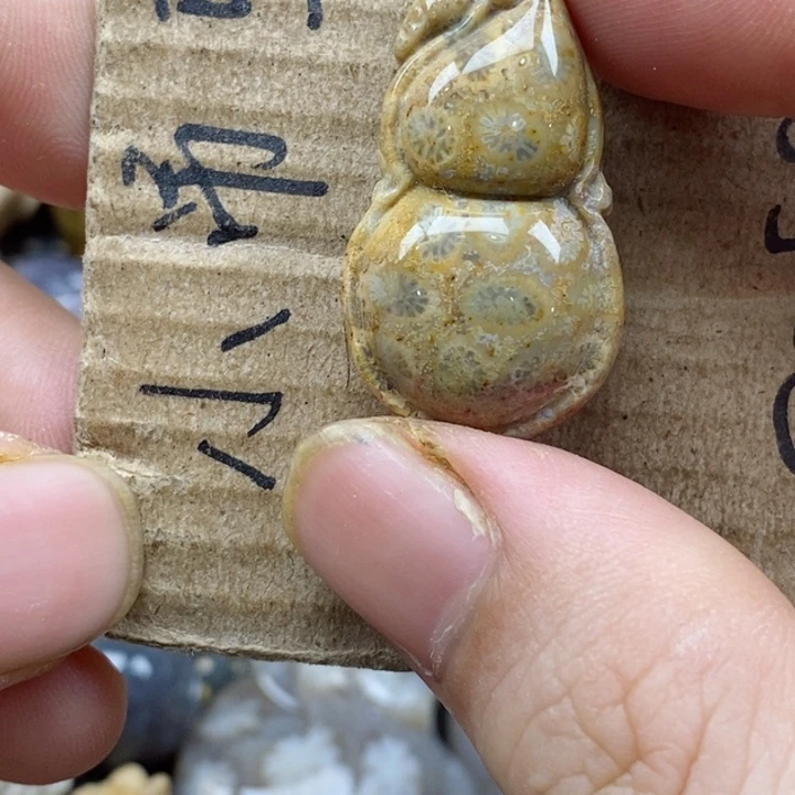 颈饰未镶嵌硅化珊瑚（珊瑚玉）怡*小