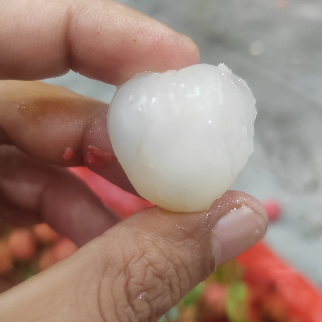 桂味荔枝装顺丰包邮