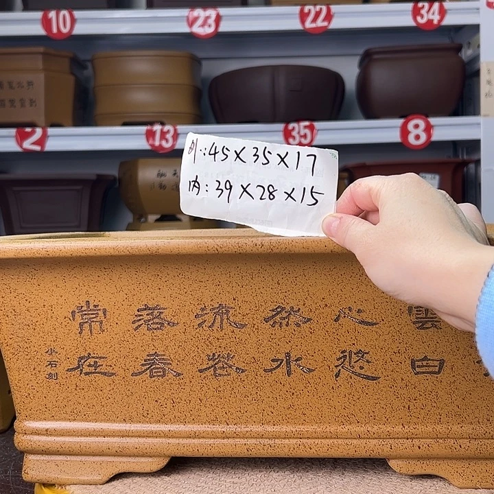 花盆紫砂蛇年大吉