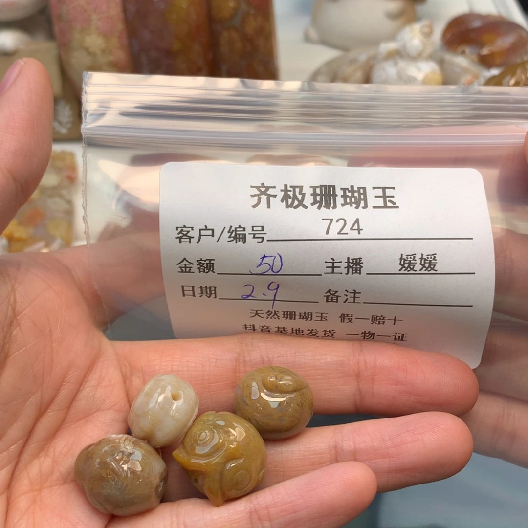 硅化珊瑚（珊瑚玉）颈饰未镶嵌飞*象