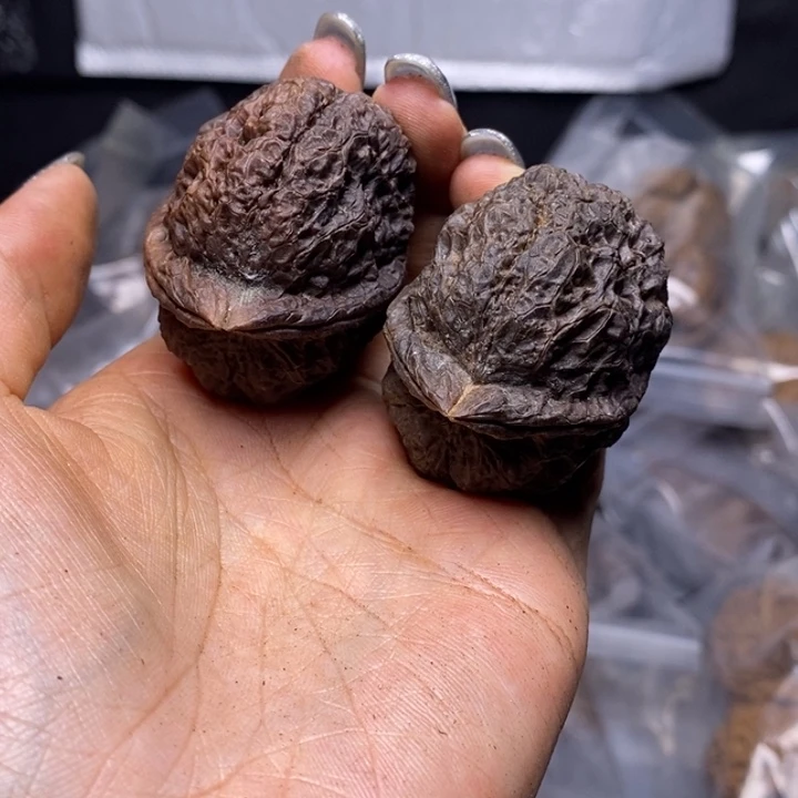 核桃云南野生铁核桃145号43mm