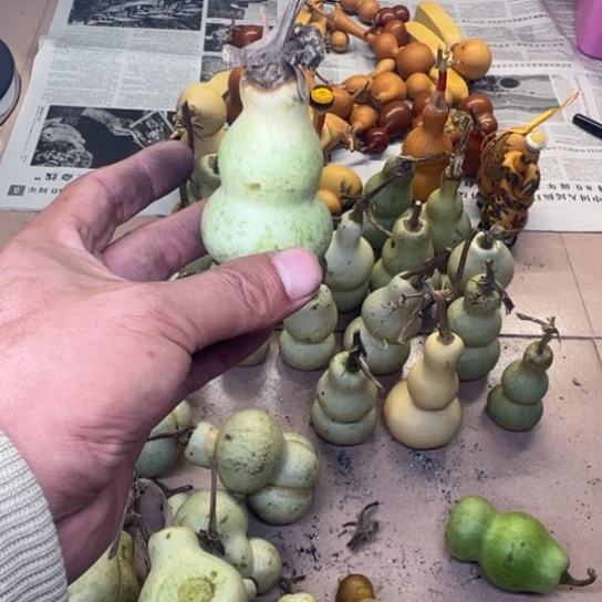 喜***哥葫芦葫芦笙等多种形式进行宣传和