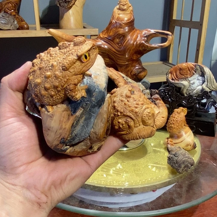 钱***进香榧木崖柏等自然景区的