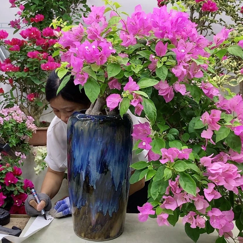 【闪购商品】完全开放