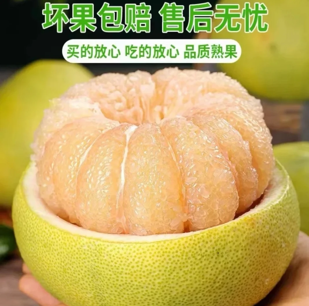 福建仙游度尾文旦柚新鲜当季现摘应季香甜多汁水果
