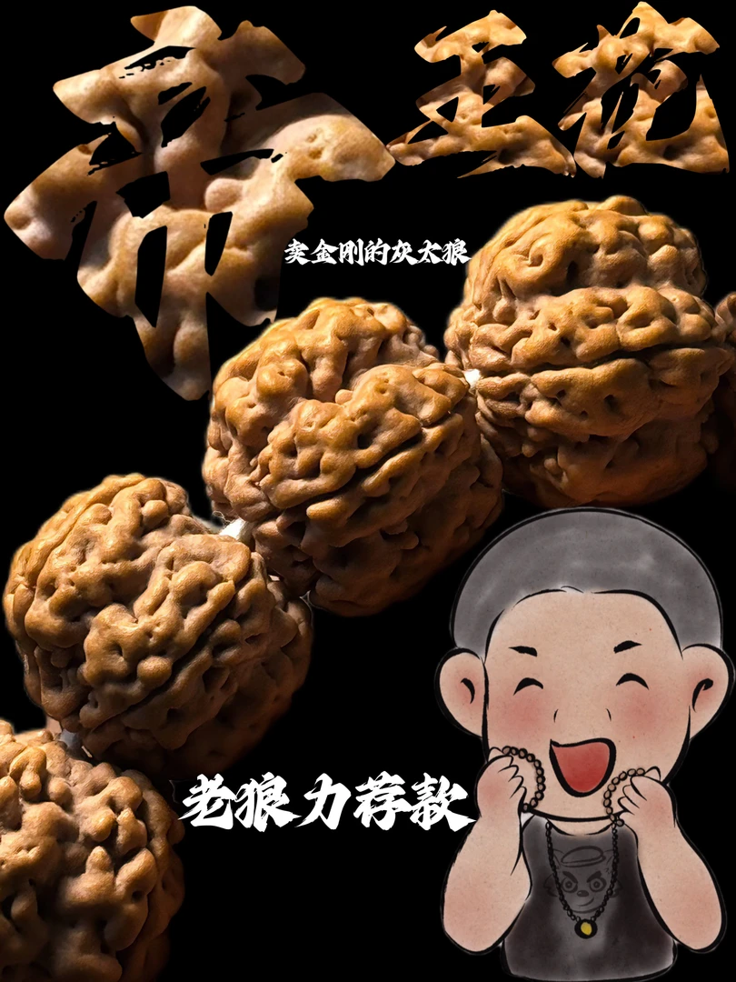 老狼权威款！粗筋帝王花 小金刚菩提手串 深度清理无果胶无返碱