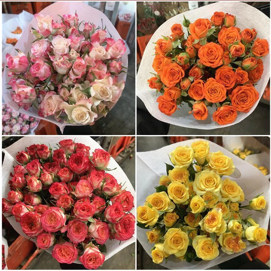 混搭多头玫瑰家用水养切花鲜花适合生日赠送