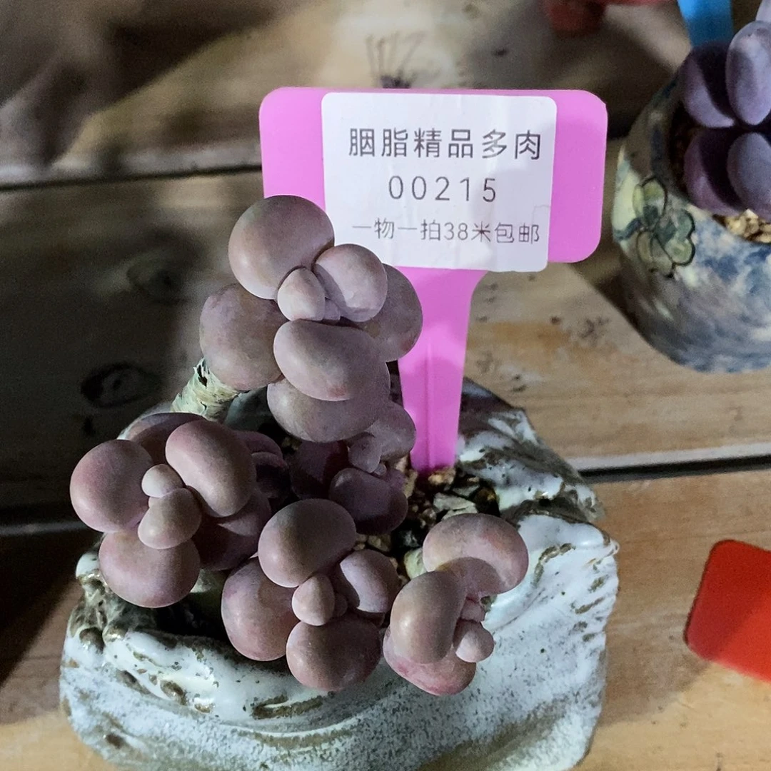 00215，哦璐璐路口了咯小雨