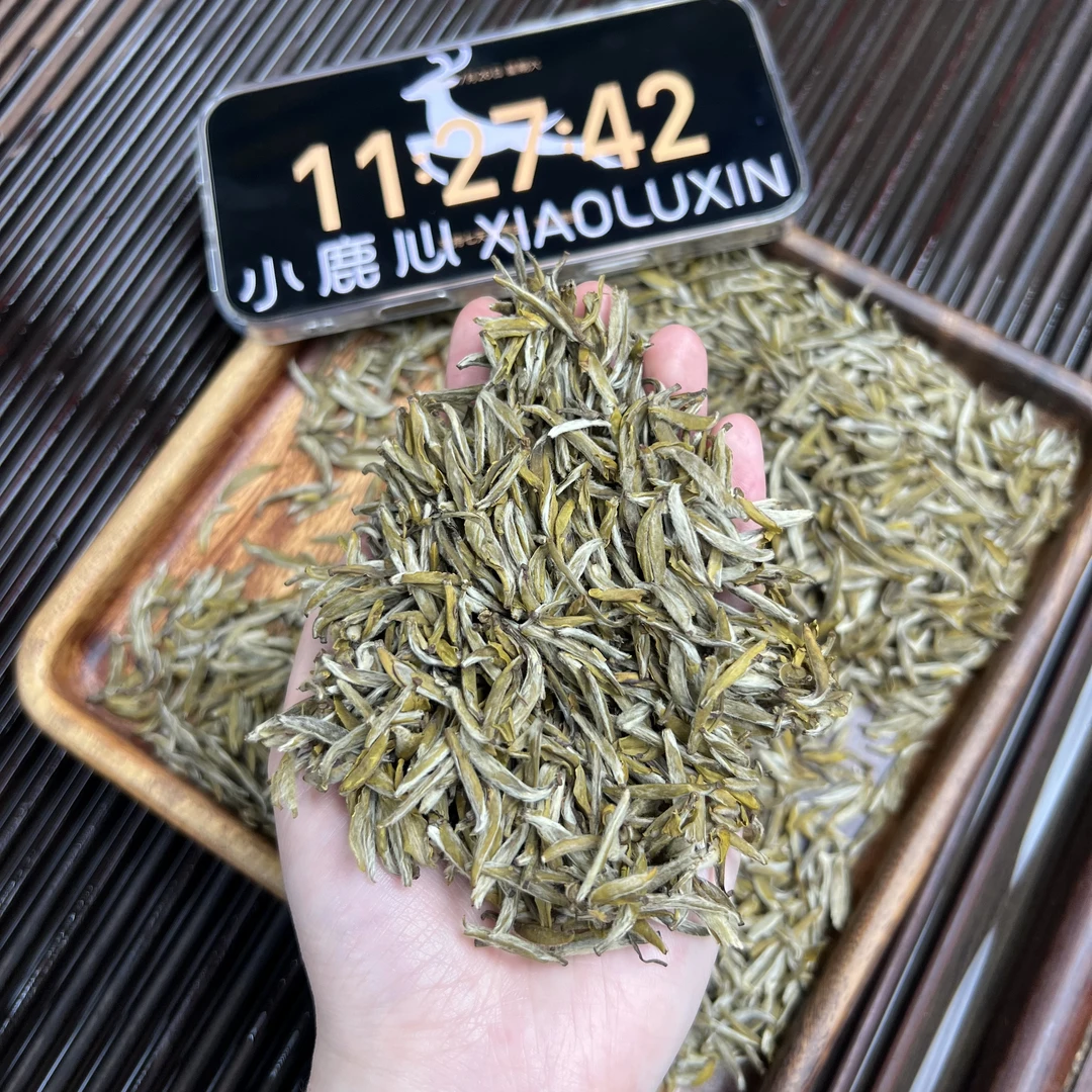 茉莉金龍毫 小鹿收茶 茉莉花茶 7月26