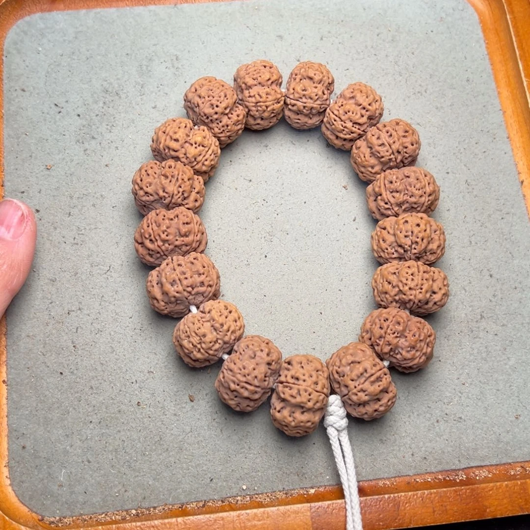 菩提19号金刚菩提梅花夹板23