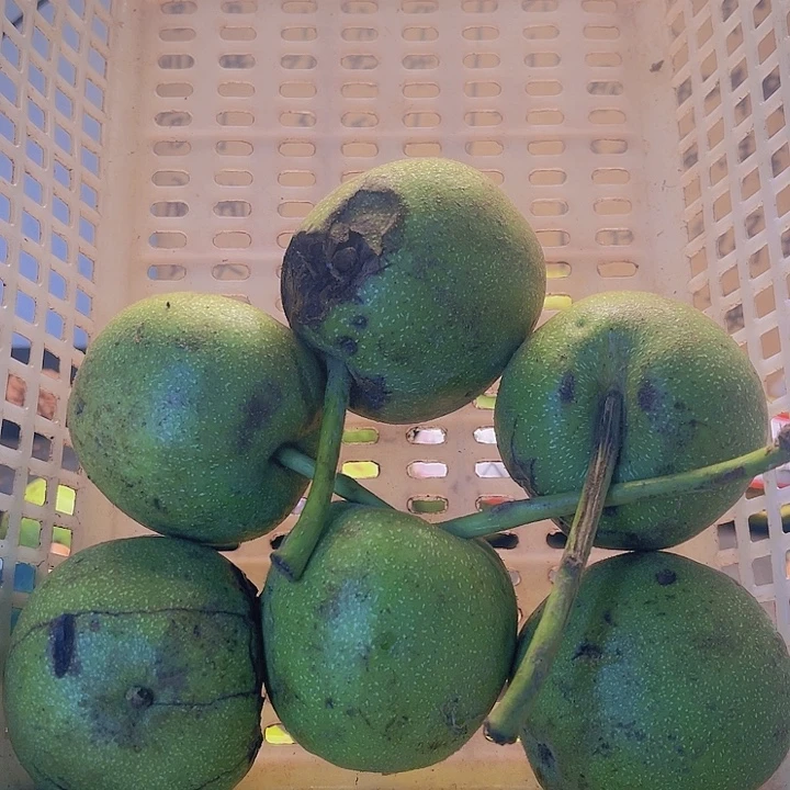 把件文玩核桃文玩核桃