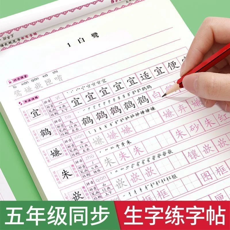 五年级同步2025年秋新版上下册同步练字帖 人教版课本同步 识字表
