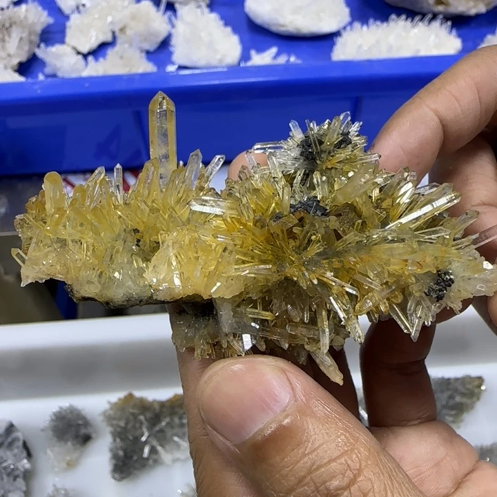 昌化石印石福建带黄铁黄皮水晶