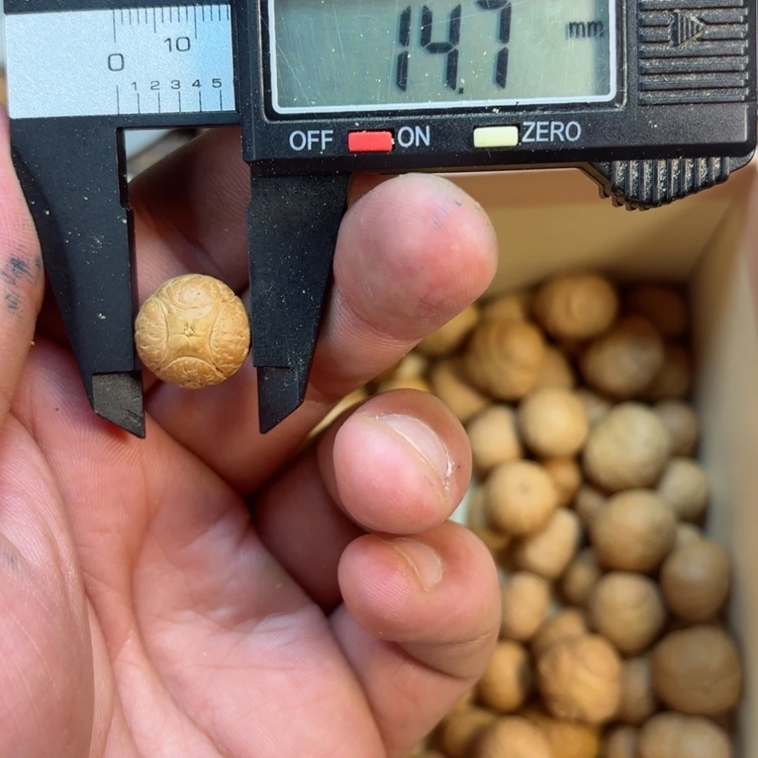 凤眼菩提吊坠14.7麒麟三通（打孔后不退不换）