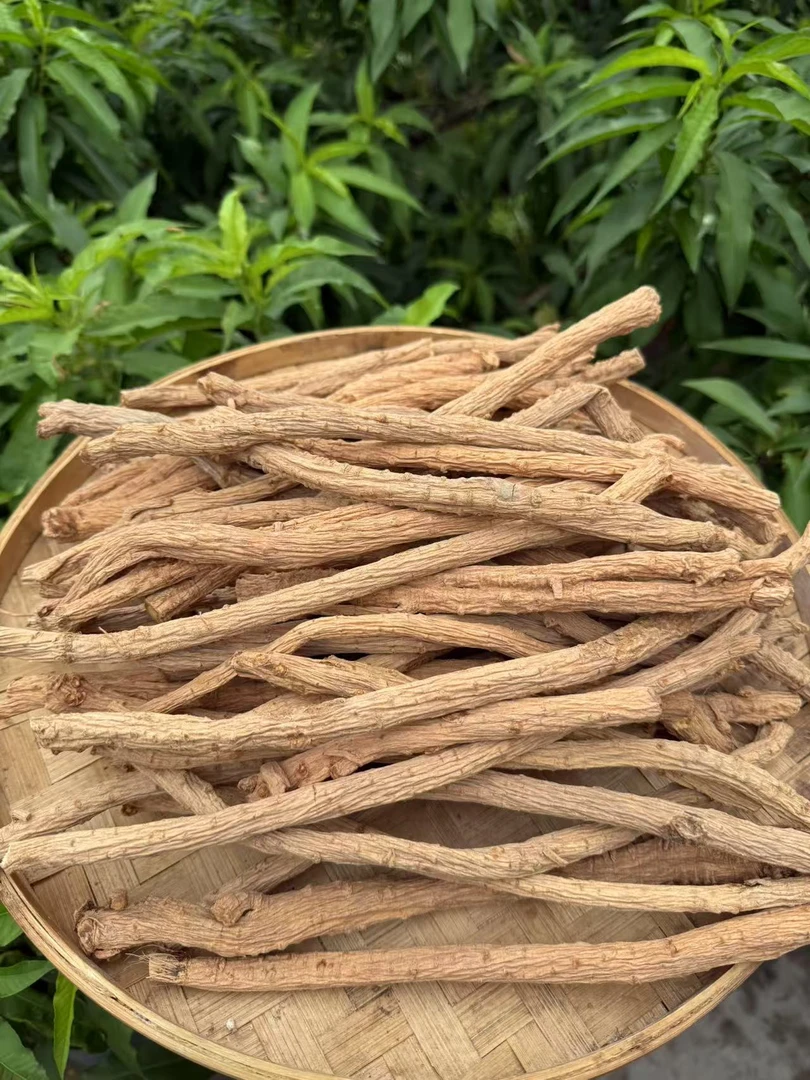 土特产 党参（可搭配当归）