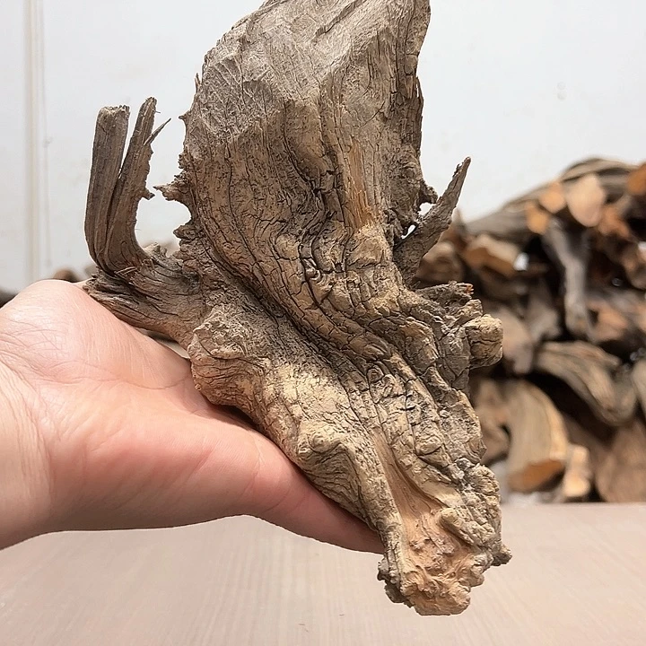 柏木无**河我们都是好孩子呀