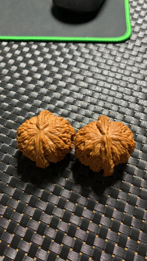 全品白狮子，45尺