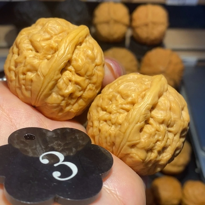 核桃粗筋筋肉疙瘩尺寸37