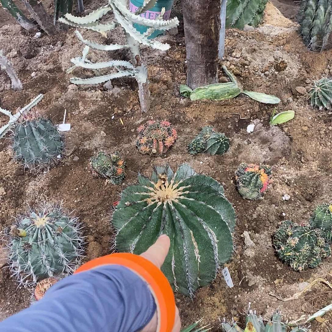 牛*王000090000000000