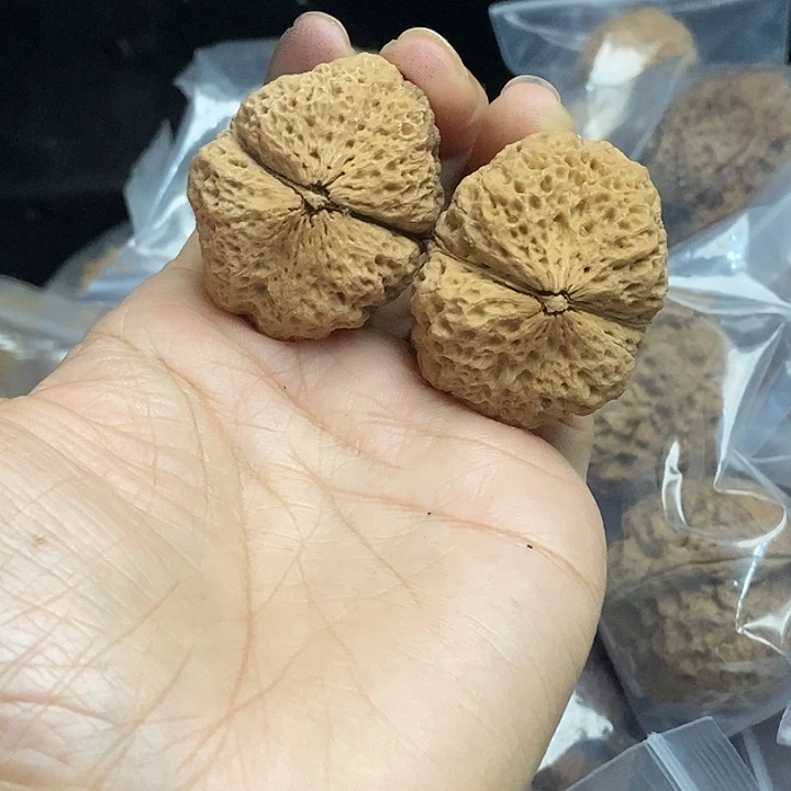 木质类云南铁核桃+81